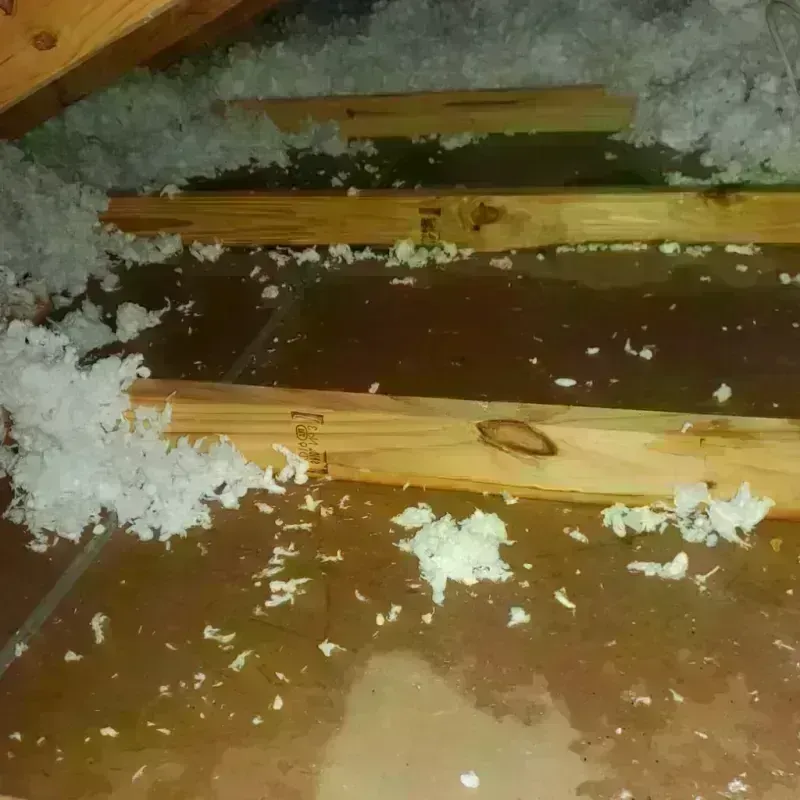 Attic Water Damage in Manson, IA